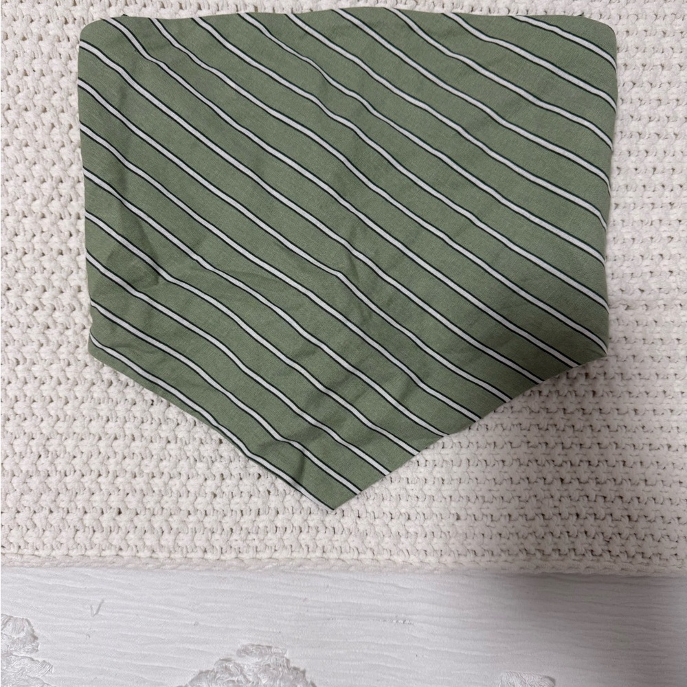 Zara Green and White Striped top